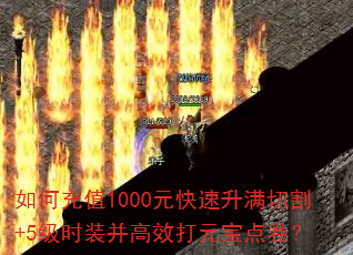 ��γ�ֵ1000Ԫ���������и�+5��ʱװ����Ч��Ԫ�������