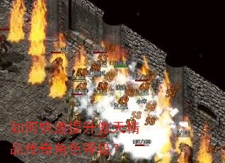 ��ο����������쾫Ʒ�����ɫ�ȼ���
