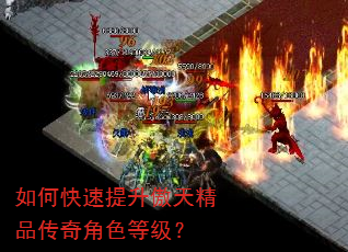 ��ο����������쾫Ʒ�����ɫ�ȼ���
