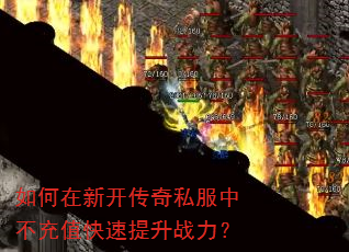 ������¿�����˽���в���ֵ��������ս����