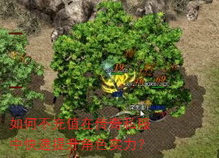 ��β���ֵ�ڴ���˽���п���������ɫʵ����