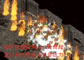 ��ο�������cqsf���泬��sf��ɫ�ȼ���װ��ս����