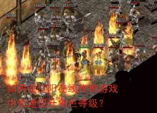 如何在辽阳在线传奇游戏中快速提升角色等级? 如何在辽阳在线传奇游戏中快速提升角色等级?