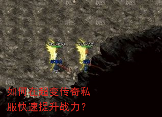 ����ڳ��䴫��˽����������ս����