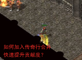 如何加入传奇行会并快速提升贡献度? 如何加入传奇行会并快速提升贡献度?