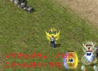 如何快速提升霸王大陆热血传奇私服角色等级? 如何快速提升霸王大陆热血传奇私服角色等级?