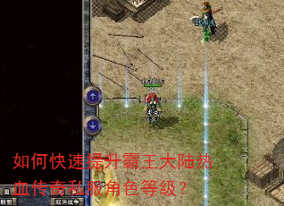如何快速提升霸王大陆热血传奇私服角色等级? 如何快速提升霸王大陆热血传奇私服角色等级?
