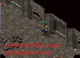 如何快速提升霸王大陆热血传奇私服角色等级? 如何快速提升霸王大陆热血传奇私服角色等级?