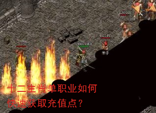 十二生肖单职业如何快速获取充值点? 十二生肖单职业如何快速获取充值点?