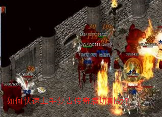 ��ο������ָ��Ŵ������и�棿