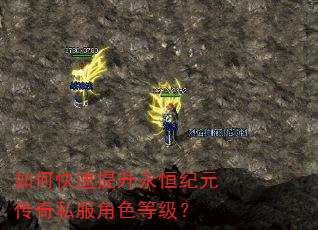 如何快速提升永恒纪元传奇私服角色等级? 如何快速提升永恒纪元传奇私服角色等级?