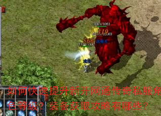 如何快速提升新开网通传奇私服角色等级?装备获取攻略有哪些? 如何快速提升新开网通传奇私服角色等级?装备获取攻略有哪些?