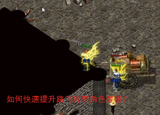 如何快速提升路飞传奇角色等级? 如何快速提升路飞传奇角色等级?