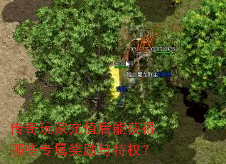 传奇玩家充值后能获得哪些专属奖励与特权? 传奇玩家充值后能获得哪些专属奖励与特权?