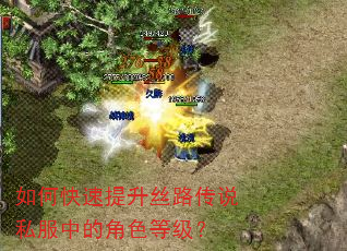 如何快速提升丝路传说私服中的角色等级? 如何快速提升丝路传说私服中的角色等级?