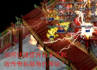如何快速提升我本沉默版传奇私服角色等级? 如何快速提升我本沉默版传奇私服角色等级?