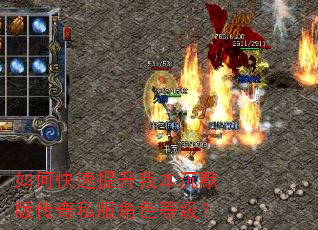 如何快速提升我本沉默版传奇私服角色等级? 如何快速提升我本沉默版传奇私服角色等级?