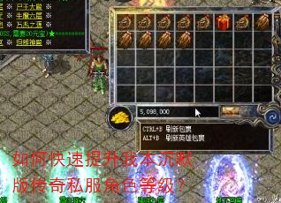 如何快速提升我本沉默版传奇私服角色等级? 如何快速提升我本沉默版传奇私服角色等级?