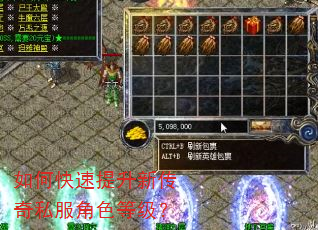 如何快速提升新传奇私服角色等级? 如何快速提升新传奇私服角色等级?
