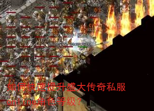 如何快速提升盛大传奇私服online角色等级? 如何快速提升盛大传奇私服online角色等级?