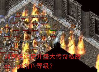 如何快速提升盛大传奇私服online角色等级? 如何快速提升盛大传奇私服online角色等级?