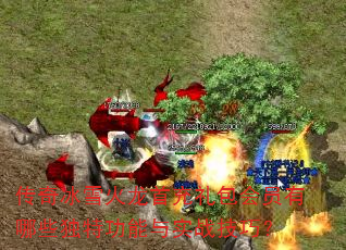 传奇冰雪火龙首充礼包会员有哪些独特功能与实战技巧? 传奇冰雪火龙首充礼包会员有哪些独特功能与实战技巧?