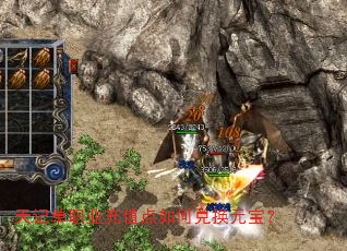 天记单职业充值点如何兑换元宝? 天记单职业充值点如何兑换元宝?