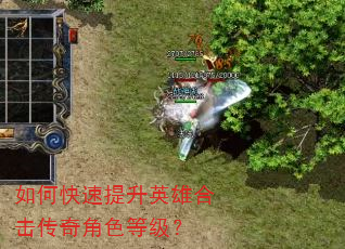如何快速提升英雄合击传奇角色等级? 如何快速提升英雄合击传奇角色等级?