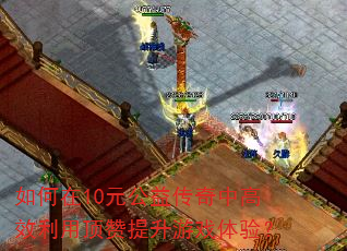 �����10Ԫ���洫���и�Ч���ö���������Ϸ���飿