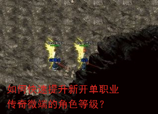 如何快速提升新开单职业传奇微端的角色等级? 如何快速提升新开单职业传奇微端的角色等级?