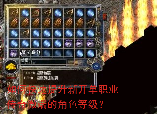 如何快速提升新开单职业传奇微端的角色等级? 如何快速提升新开单职业传奇微端的角色等级?