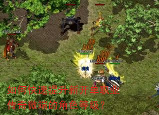 如何快速提升新开单职业传奇微端的角色等级? 如何快速提升新开单职业传奇微端的角色等级?