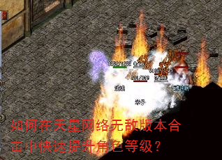 如何在天星网络无敌版本合击中快速提升角色等级? 如何在天星网络无敌版本合击中快速提升角色等级?