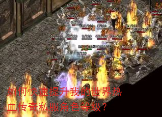 如何快速提升我的世界热血传奇私服角色等级? 如何快速提升我的世界热血传奇私服角色等级?
