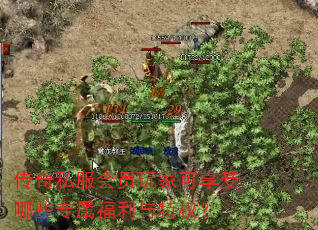 传奇私服会员玩家可享受哪些专属福利与特权? 传奇私服会员玩家可享受哪些专属福利与特权?