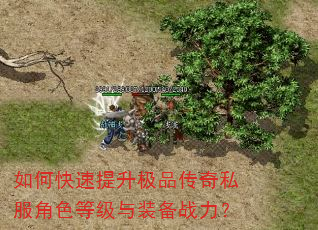 如何快速提升极品传奇私服角色等级与装备战力? 如何快速提升极品传奇私服角色等级与装备战力?