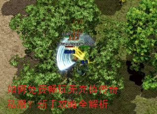 如何免费畅玩无充值传奇私服?新手攻略全解析 如何免费畅玩无充值传奇私服?新手攻略全解析