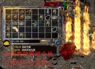 如何有效管理会员以推动行会发展? 如何有效管理会员以推动行会发展?