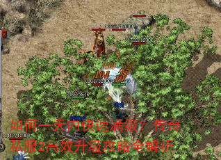 如何一天内快速满级?传奇私服2高效升级攻略全解析 如何一天内快速满级?传奇私服2高效升级攻略全解析