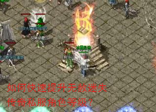 如何快速提升无赦迷失传奇私服角色等级? 如何快速提升无赦迷失传奇私服角色等级?