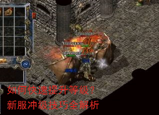 如何快速提升等级?新服冲级技巧全解析 如何快速提升等级?新服冲级技巧全解析