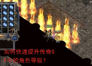 如何快速提升传奇SF中的角色等级? 如何快速提升传奇SF中的角色等级?
