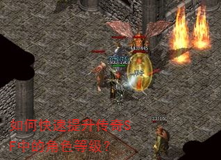 如何快速提升传奇SF中的角色等级? 如何快速提升传奇SF中的角色等级?
