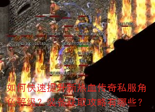 如何快速提升新热血传奇私服角色等级?装备获取攻略有哪些? 如何快速提升新热血传奇私服角色等级?装备获取攻略有哪些?
