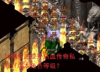 如何快速提升热血传奇私服sf版本角色等级? 如何快速提升热血传奇私服sf版本角色等级?