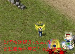 如何快速提升77boss传奇私服角色等级与装备战力? 如何快速提升77boss传奇私服角色等级与装备战力?