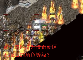 如何快速提升传奇新区开服后的角色等级? 如何快速提升传奇新区开服后的角色等级?