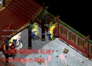 如何快速提升私域999传奇角色等级? 如何快速提升私域999传奇角色等级?