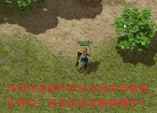 如何快速提升单职业迷失传奇角色等级?装备获取攻略有哪些? 如何快速提升单职业迷失传奇角色等级?装备获取攻略有哪些?