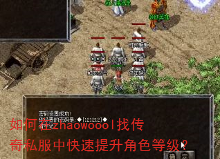 如何在zhaowoool找传奇私服中快速提升角色等级? 如何在zhaowoool找传奇私服中快速提升角色等级?